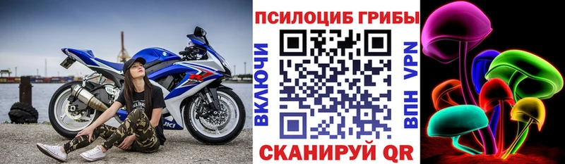 Галлюциногенные грибы мицелий  маркетплейс формула  Кропоткин 